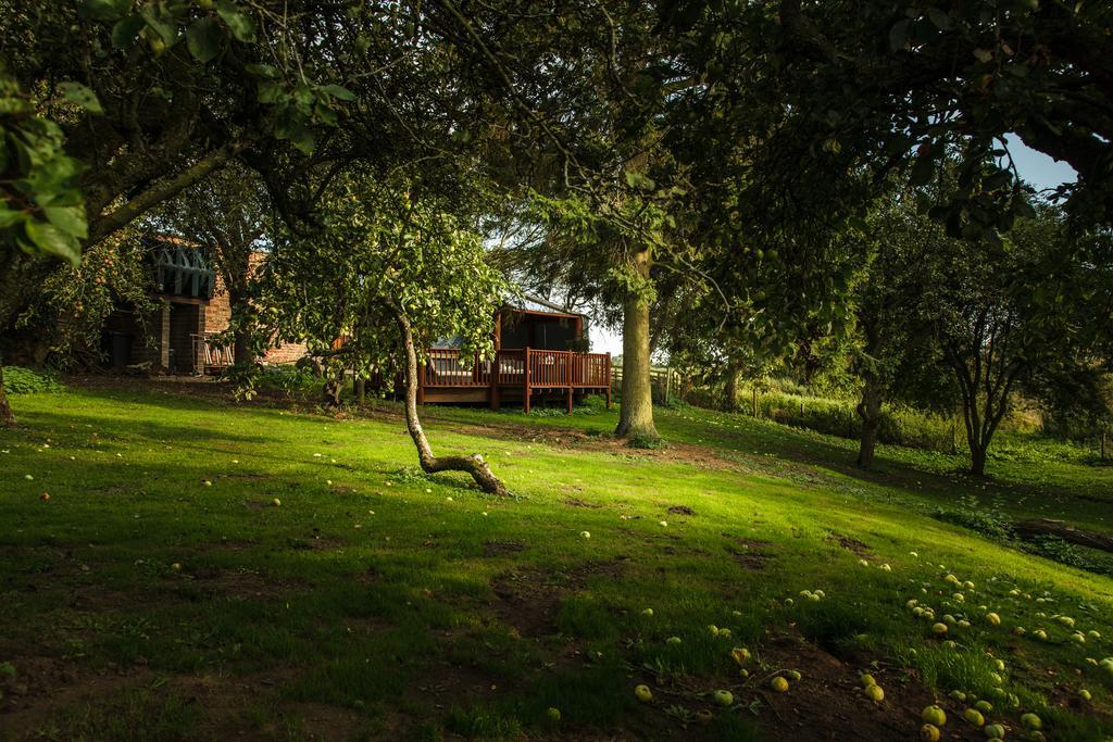 Newsham Grange Farm Bed & Breakfast Thirsk Exterior photo